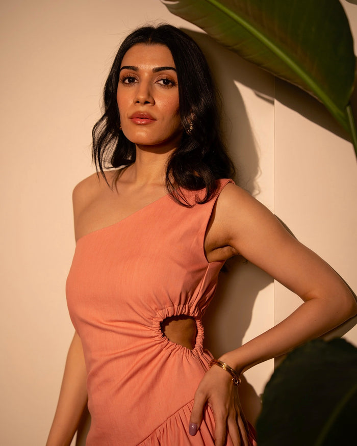 Rose Denim Cut Out Dress